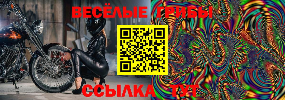Артёмовский  Галлюциногенные грибы GOLDEN TEACHER  Вход с VPN 