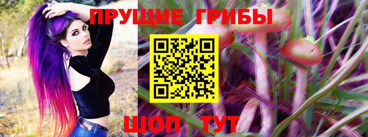 Псилоцибиновые грибы Psilocybine cubensis  Галлюциногенные грибы мицелий  Артёмовский 